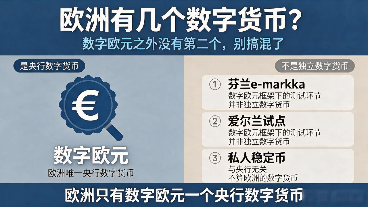 欧洲有几个数字货币？数字欧元之外没有第二个，别搞混了