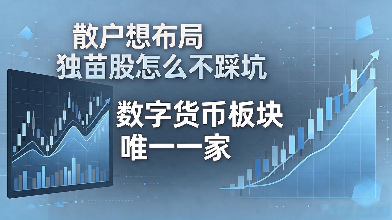 数字货币板块唯一一家到底是哪只？散户想布局独苗股怎么不踩坑